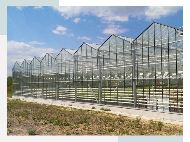 Строительство теплиц в Биробиджан от 608 руб. за м²