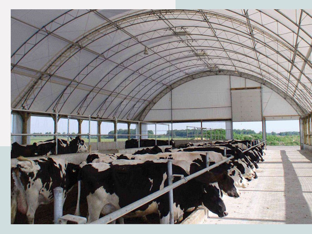 Тентовые коровники в Биробиджане